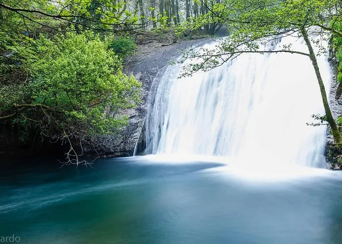 Compostellae. Wifi شقة نويا