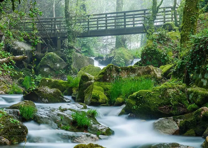 Compostellae. Wifi نويا